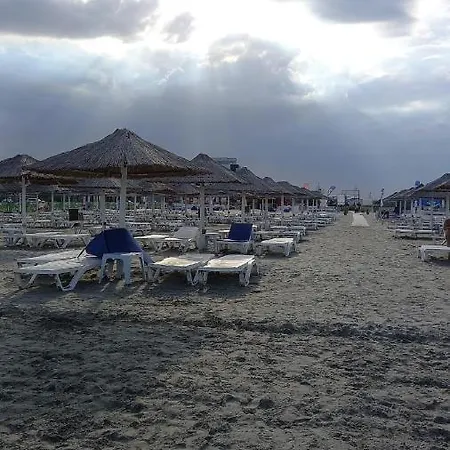 Edward Mamaia Nord - Blue Delight 17 *